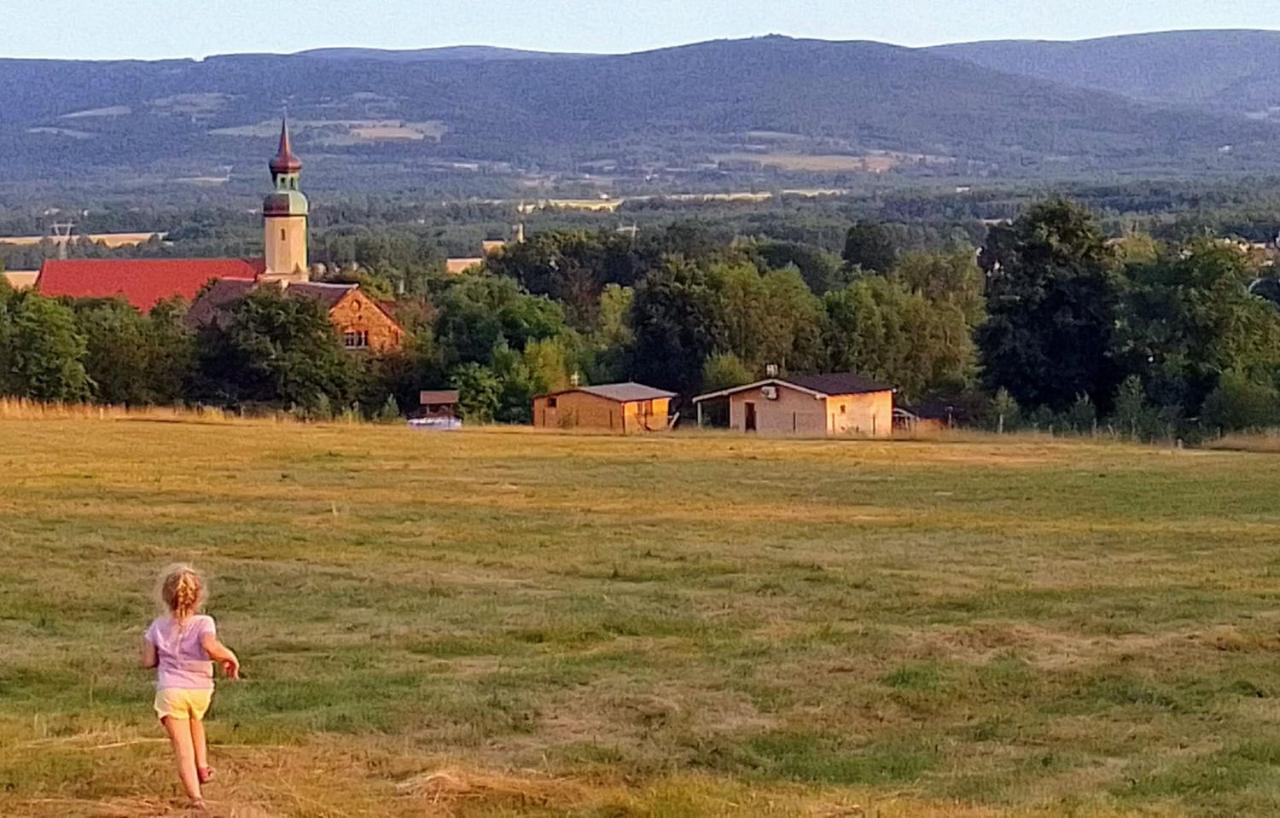 Domek W Gorach Izerskich 4 I 6 Osobowy, Agroturystyka, Zywe Zwierzeta, W Pelni Wyposazone, Plac Zabaw Dla Dzieci, Ognisko Z Kijkami I Rusztem, Ogrzewanie I Klimatyzacja, Latem Basen Mirsk Экстерьер фото