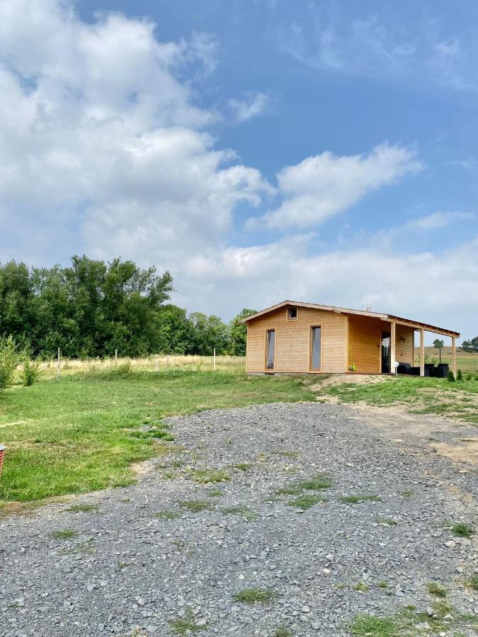 Domek W Gorach Izerskich 4 I 6 Osobowy, Agroturystyka, Zywe Zwierzeta, W Pelni Wyposazone, Plac Zabaw Dla Dzieci, Ognisko Z Kijkami I Rusztem, Ogrzewanie I Klimatyzacja, Latem Basen Mirsk Экстерьер фото